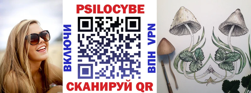 Галлюциногенные грибы мицелий  где купить наркотик  Керчь 